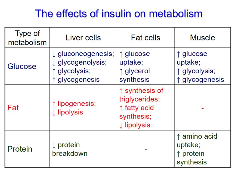 The effects of insulin on metabolism